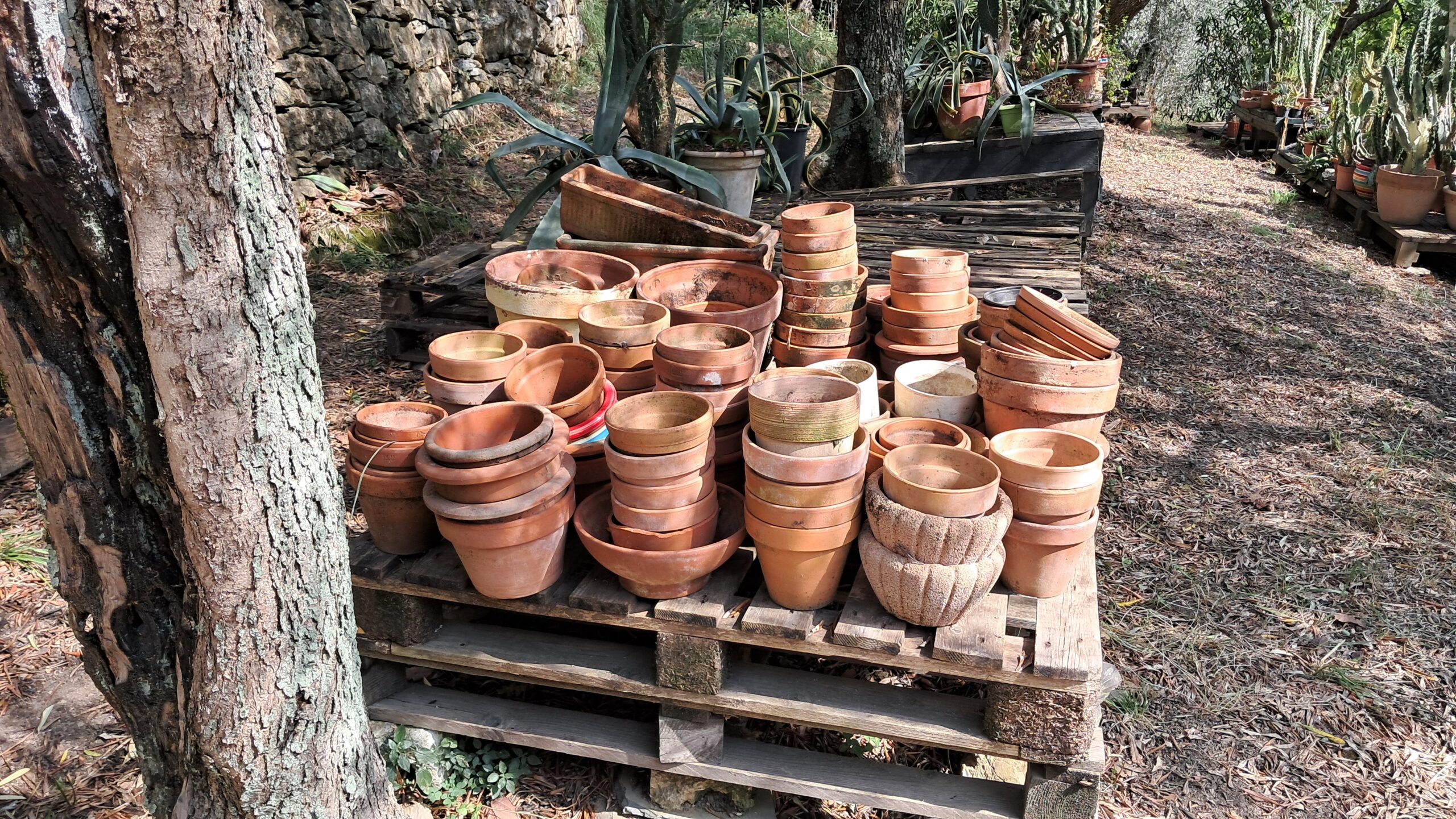 VASI in coccio in BLOCCO