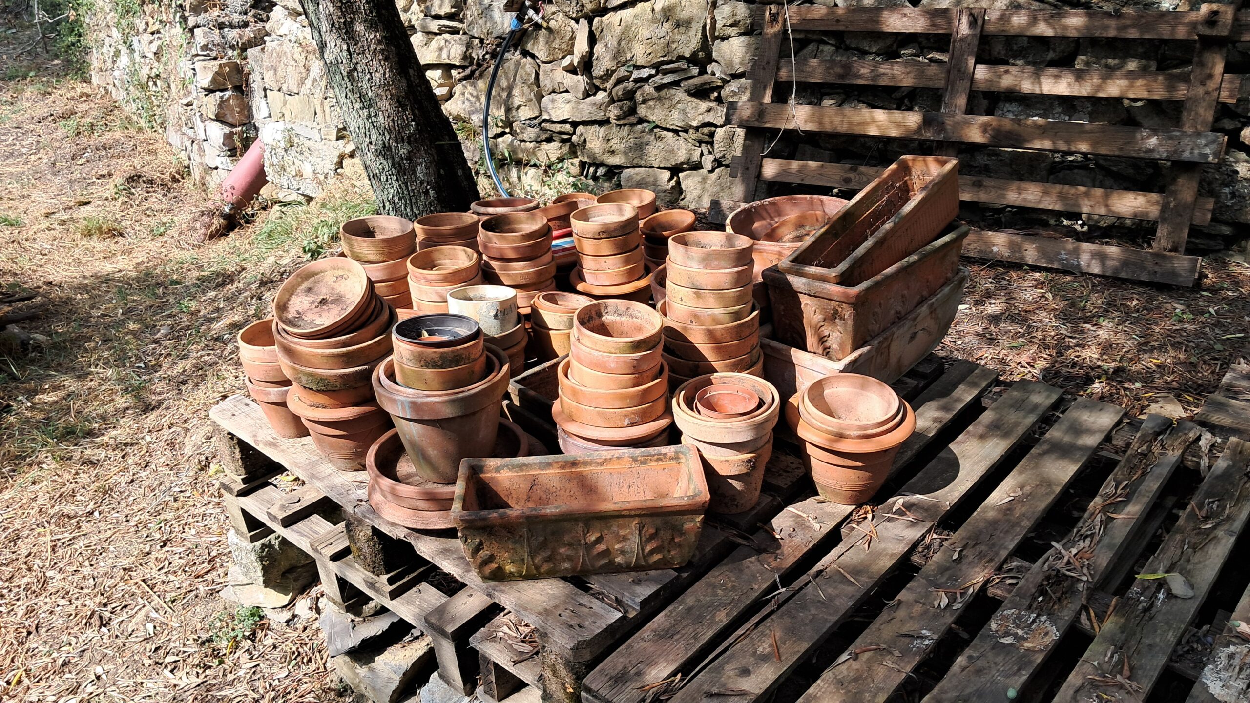 VASI in coccio in BLOCCO