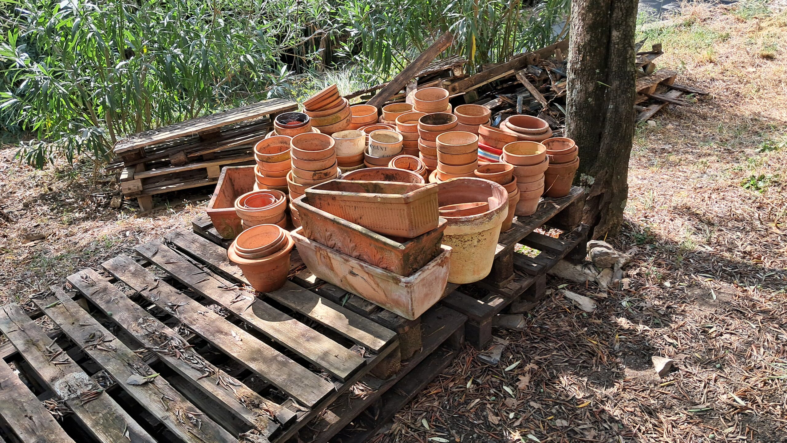 VASI in coccio in BLOCCO