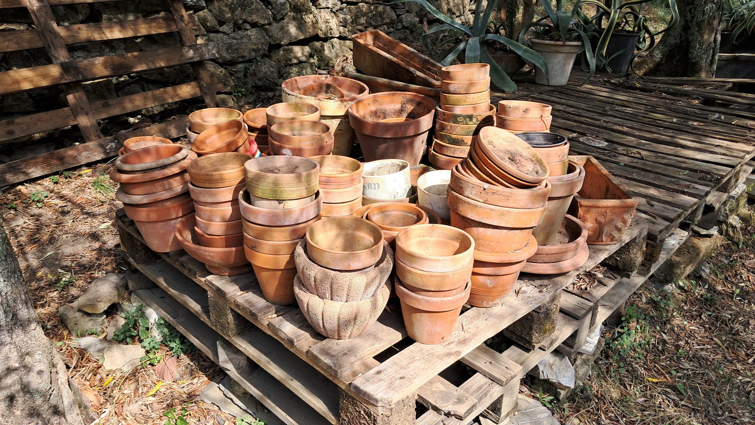 VASI in coccio in BLOCCO